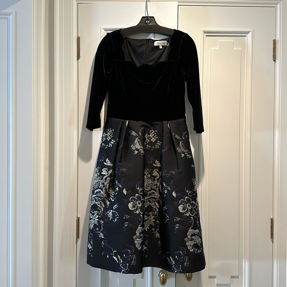 Teri Jon Dress